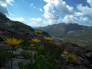 Camminata panoramica ad anello al PASSO DI GRABIASCA, sul MONTE RESEDA e per passi e laghi della conca del Calvi il 26 luglio 2012 - FOTOGALLERY